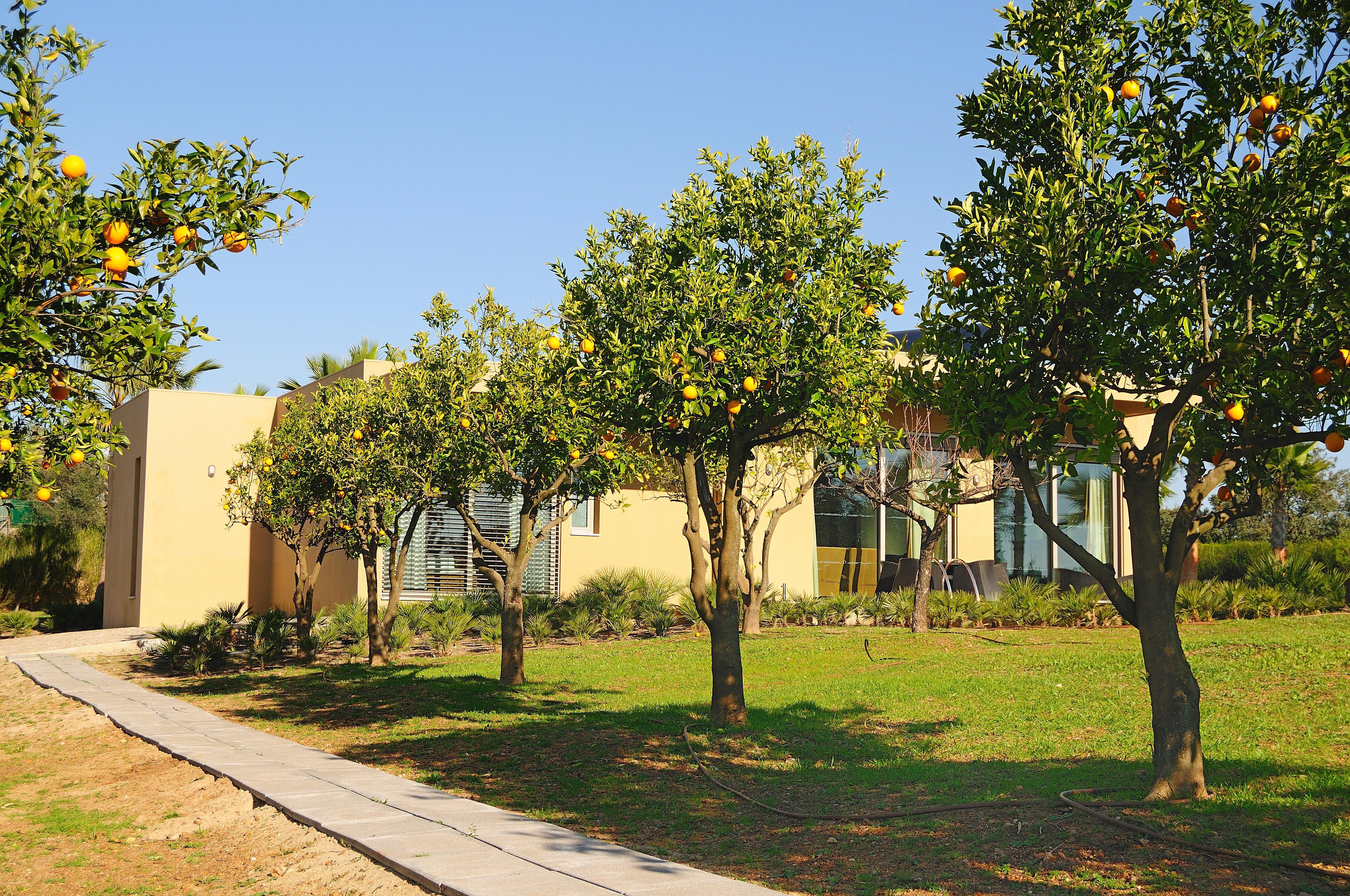 Montargil Monte Novo Hotel Kültér fotó